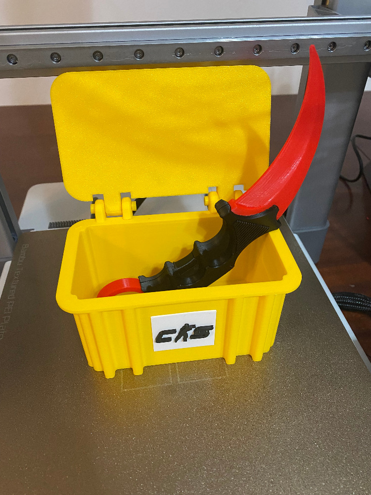CS2 Kasası