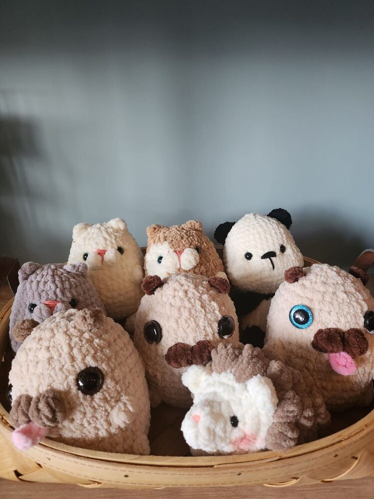 mini kadife pug