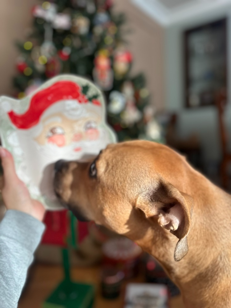 El Yapımı Seramik Noel Baba Tabak – Vintage Christmas Koleksiyonu | Atölye Gypsy