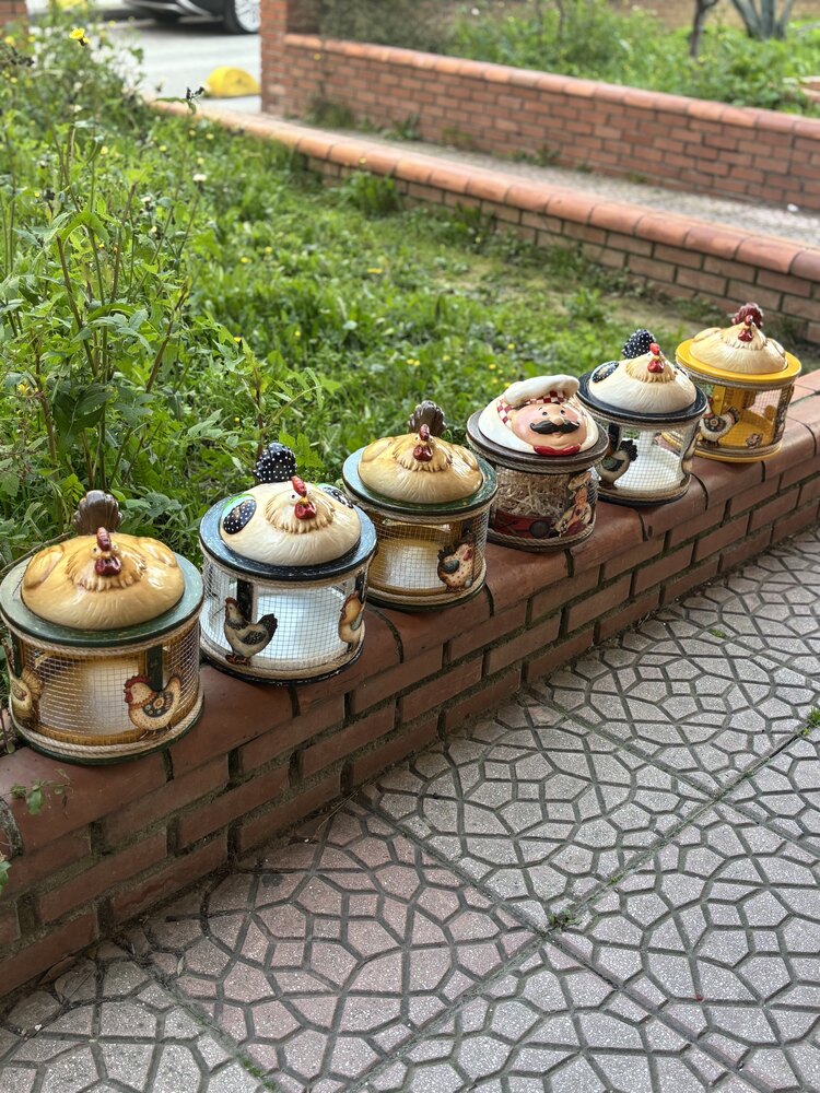 Sepetli Tavuk yumurtalık
