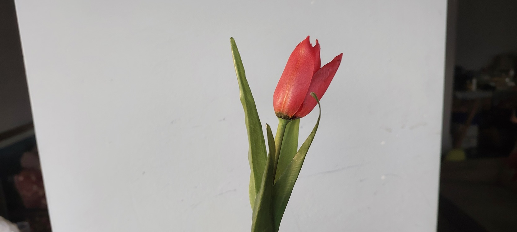 TULIP (artificial) Made to order item Gassal Tabii series prop