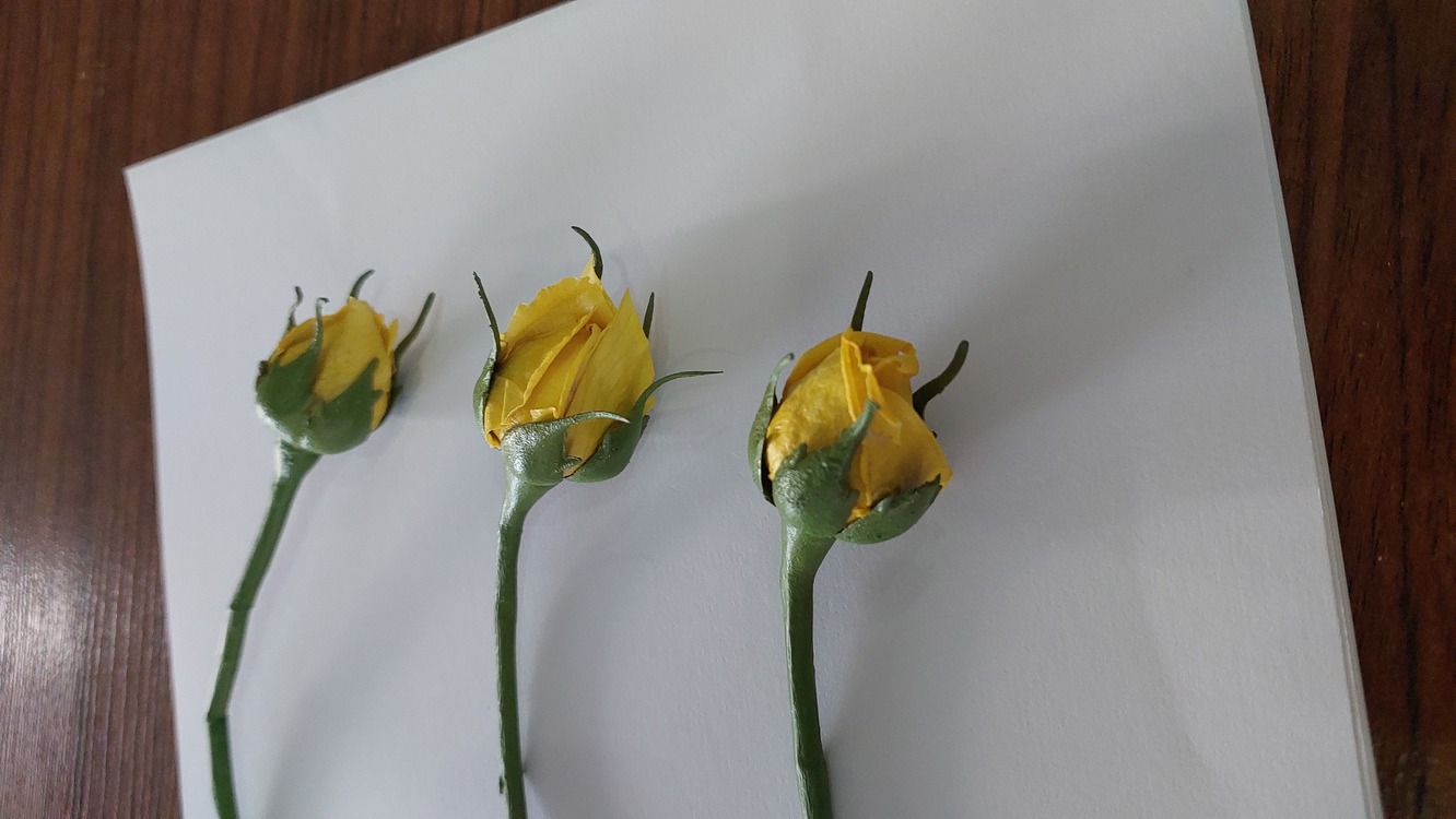 ROSE (artificial) Made to order 