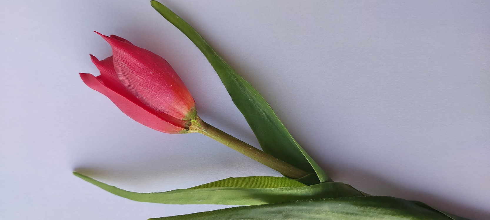 TULIP (artificial) Made to order item Gassal Tabii series prop