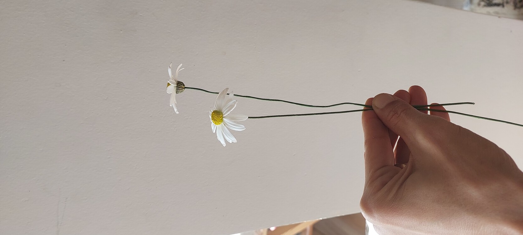 DAISY (artificial) Made to order Gassal Tabii serises prop