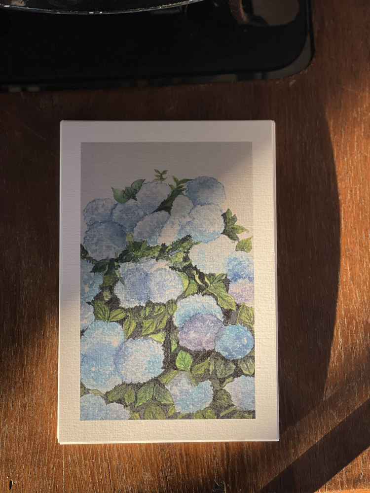 Gölgedeaçan Kartpostal