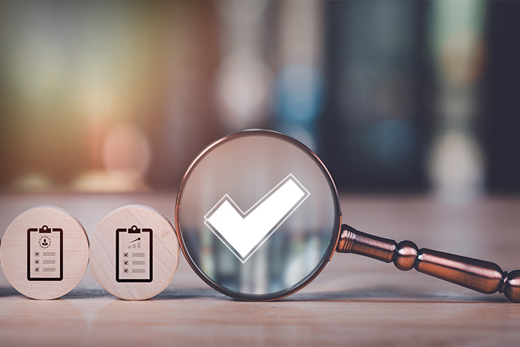 ISO 19011 Tetkik Programı Yönetimi