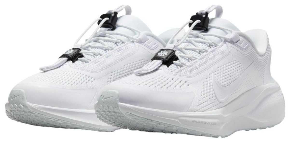 Nike Pegasus easy on
