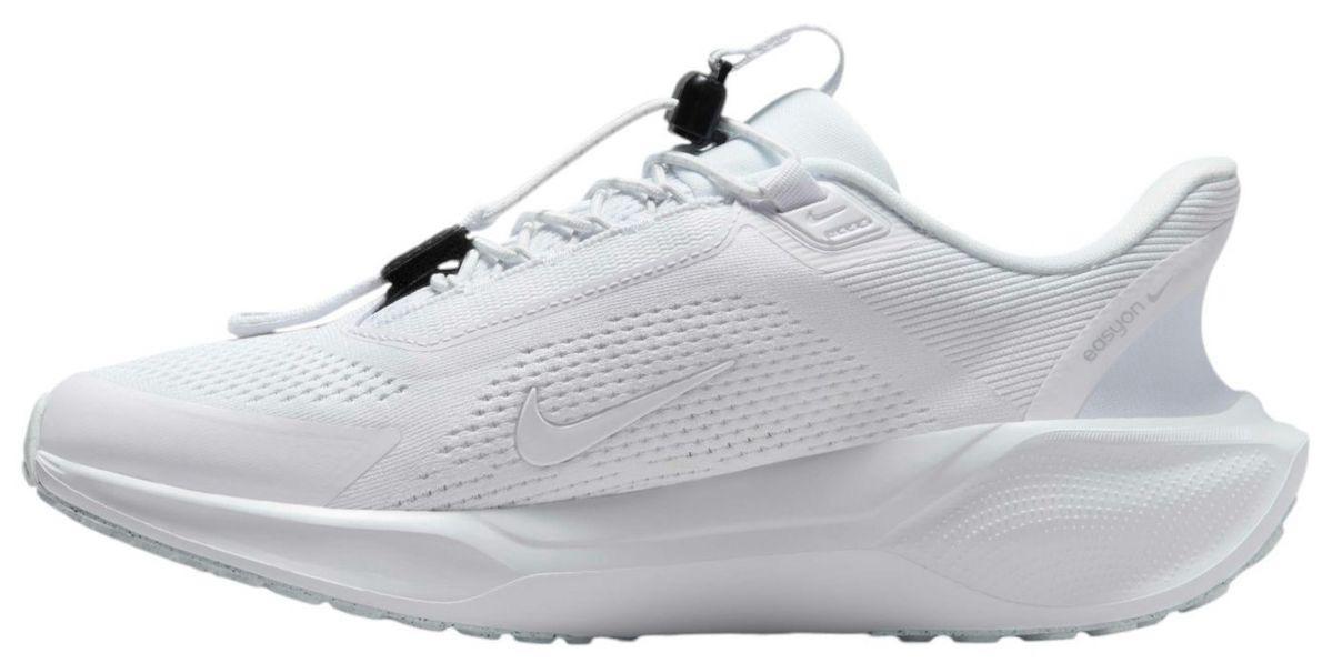 Nike Pegasus easy on