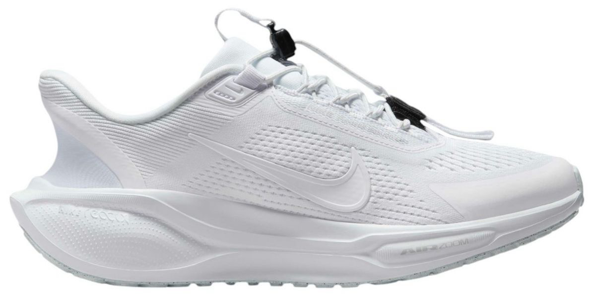 Nike Pegasus easy on