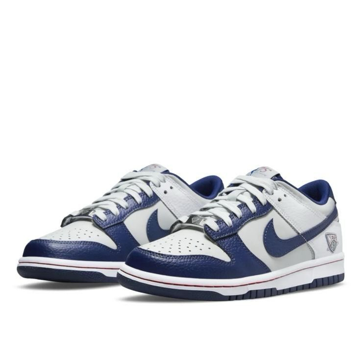 Nike Dunk Low SB NETS