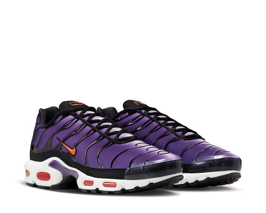 NİKE AİRMAX TN PURPLE