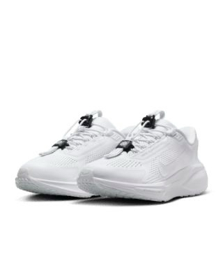 Nike Pegasus easy on