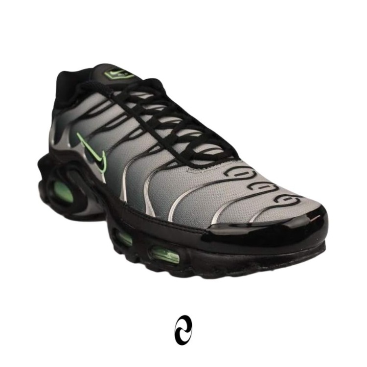 Nike Air Max Plus TN Siyah