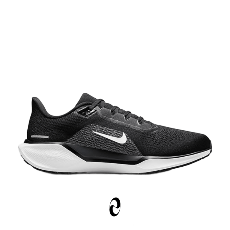 Nike Pegasus 