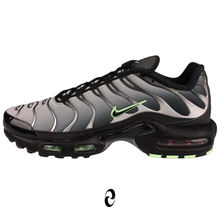 Nike Air Max Plus TN Siyah