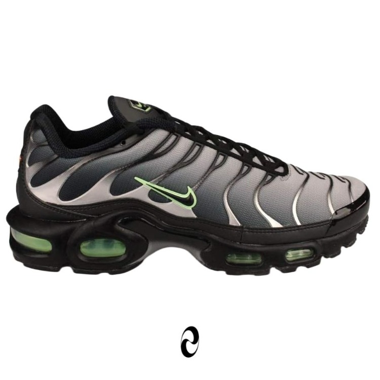 Nike Air Max Plus TN Siyah