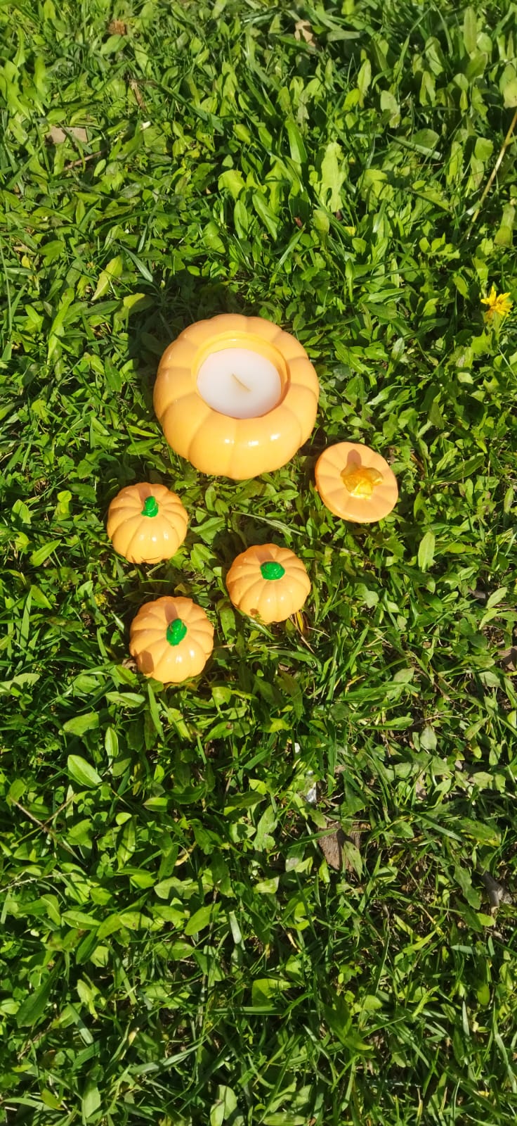 El Yapımı Kabak Mum – Sonbahar Dekoru 