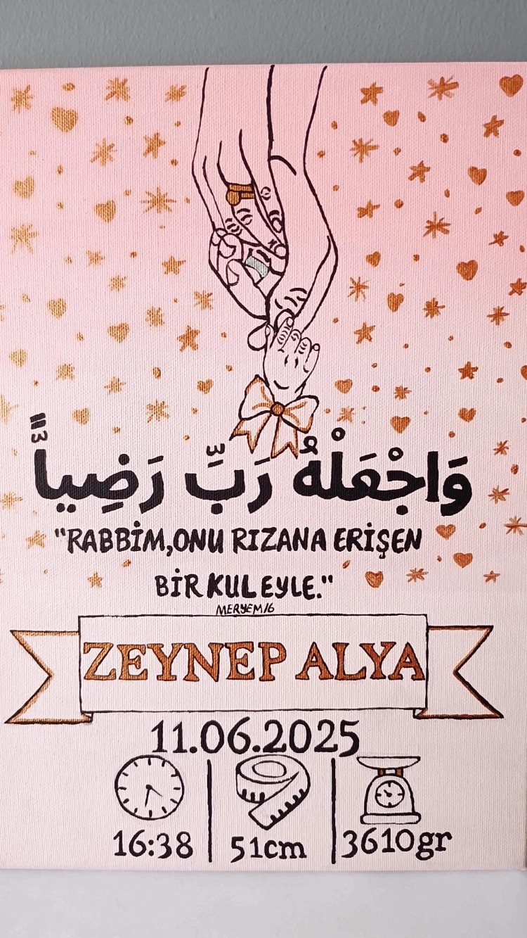 Yenidoğan İlk Künye Prenses Bebek Tablosu