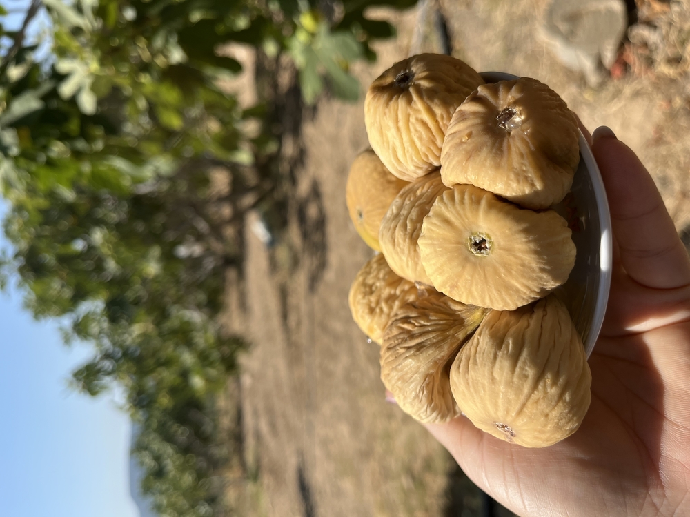 Büyük boy incir (5 kg)