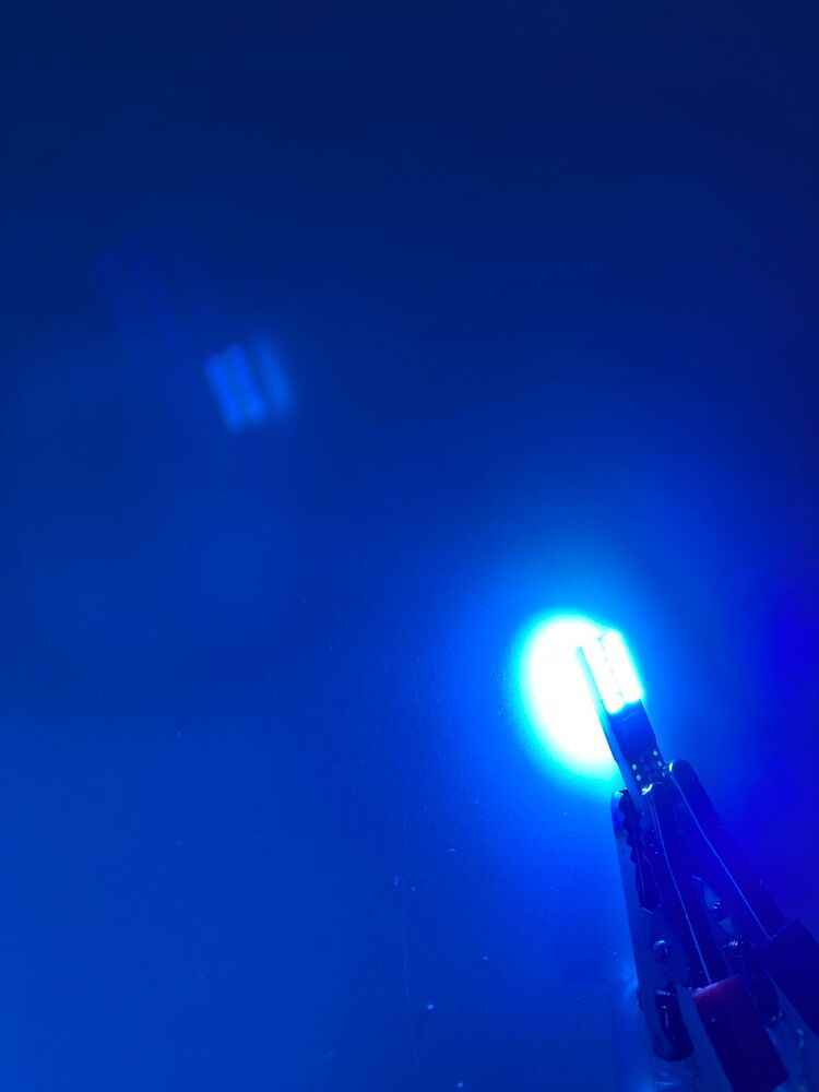 T10 BUZ MAVİ LED 24 LEDLİ PARK AMPULÜ ( DİPSİZ ) 