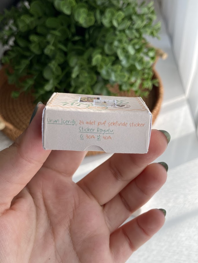 Kutulu Pul Sticker Seti