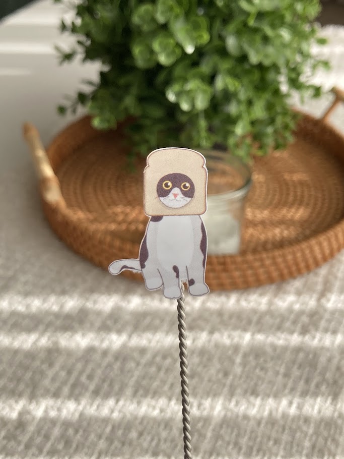 Cat Meme Sticker Seti