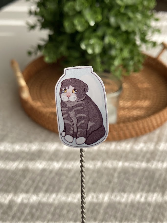 Cat Meme Sticker Seti