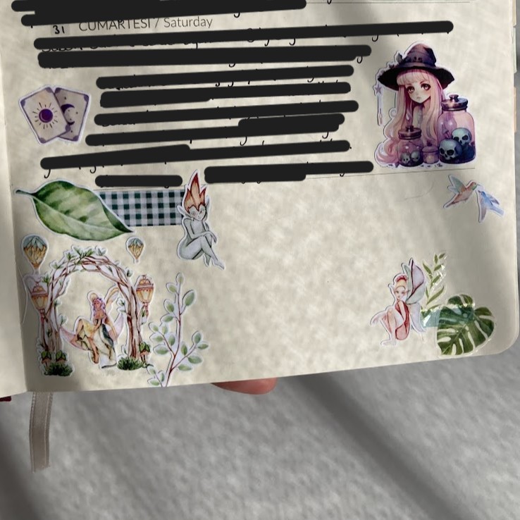 Fairy Sticker Seti