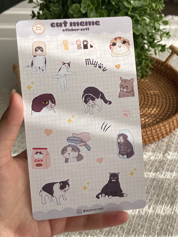 Cat Meme Sticker Seti