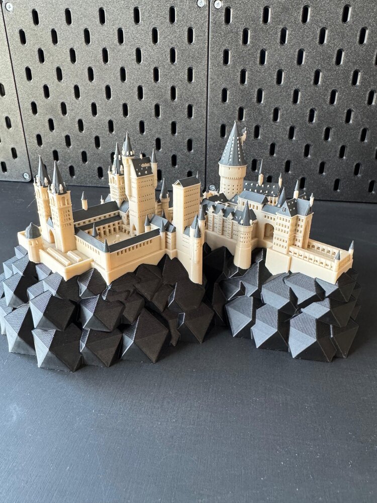 Hogwarts Model Renkli
