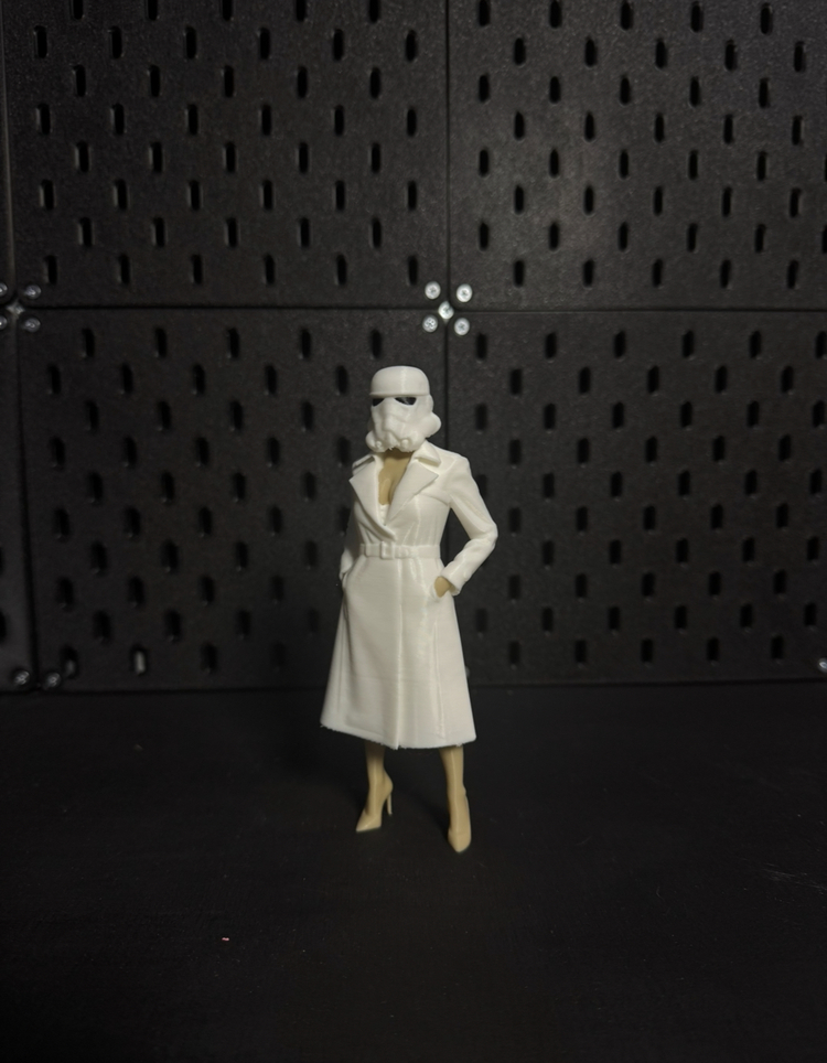Stormtrooper Secretary