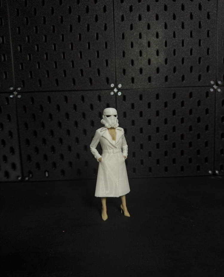Stormtrooper Secretary