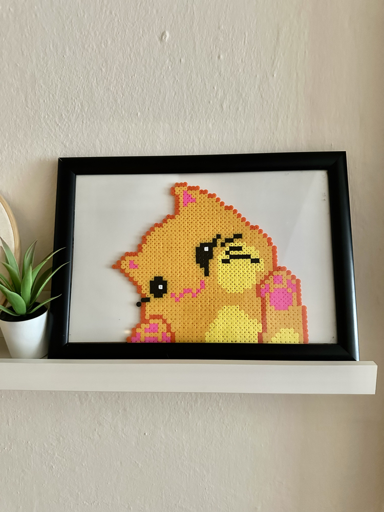 sarı kitty