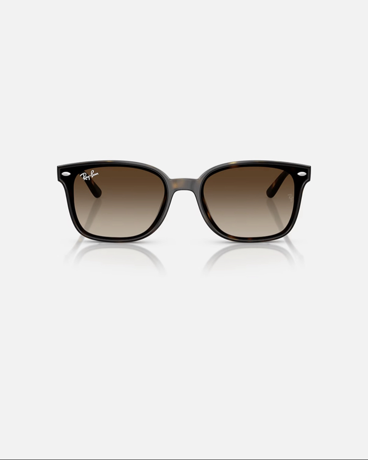 Ray-Ban RB4461D 710/13 64