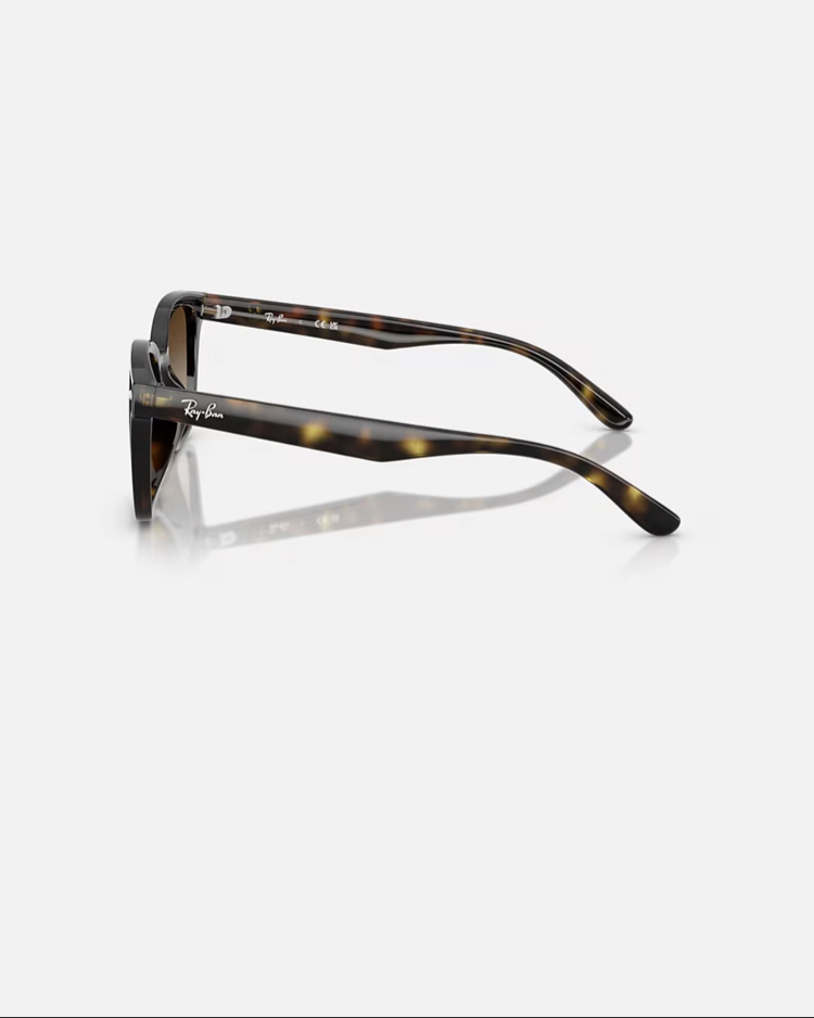 Ray-Ban RB4461D 710/13 64