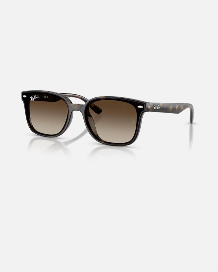 Ray-Ban RB4461D 710/13 64