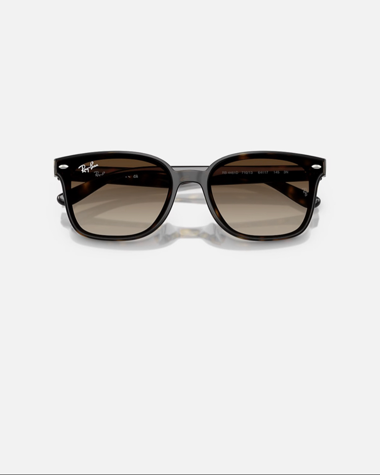 Ray-Ban RB4461D 710/13 64