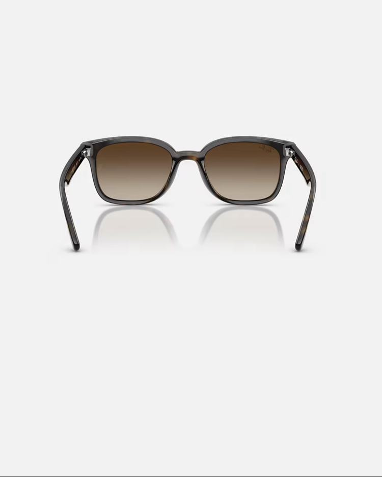 Ray-Ban RB4461D 710/13 64