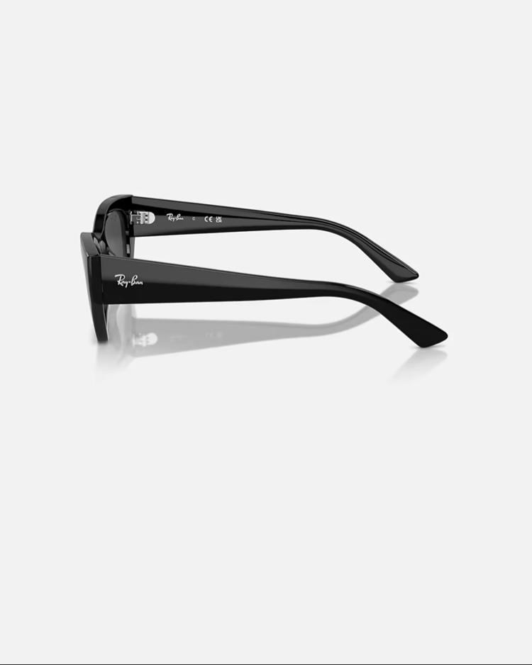 Ray-Ban RB4430 ZENA 6677/87 52