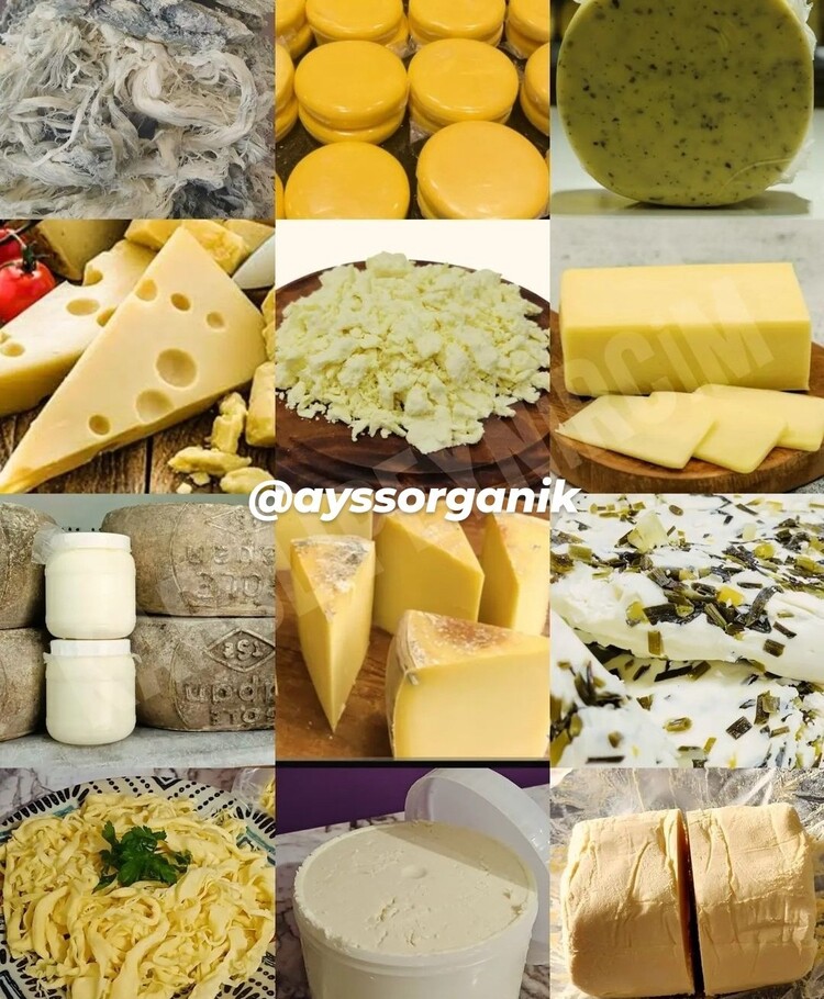1.kg Eski Kaşar