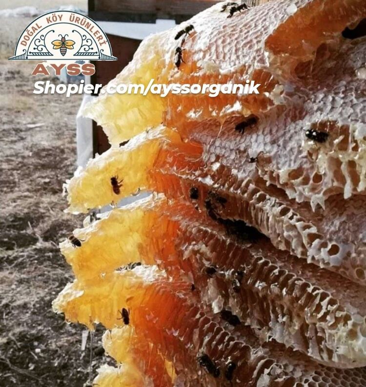 Kekik balı