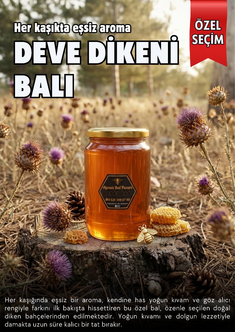 DİKEN BALI 1000 GR