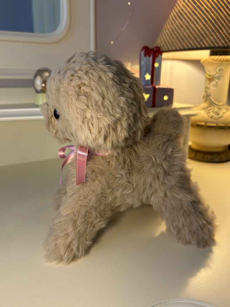 Yavru köpek 