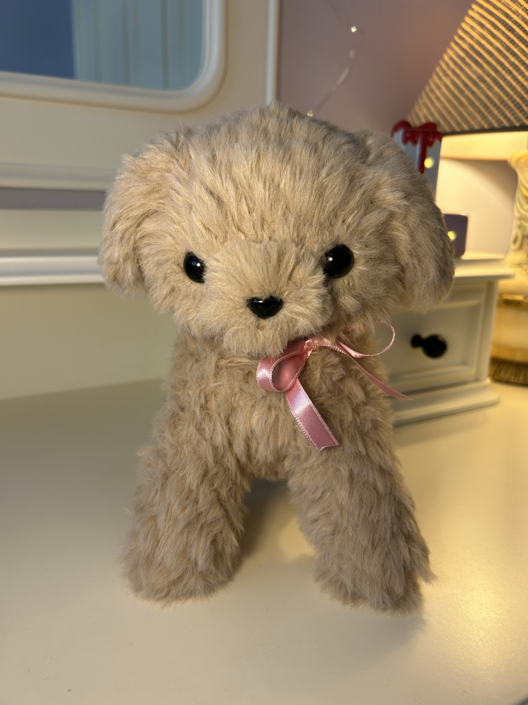 Yavru köpek 
