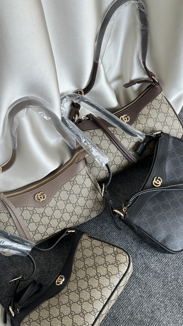 Gucci Ophidia Bag 