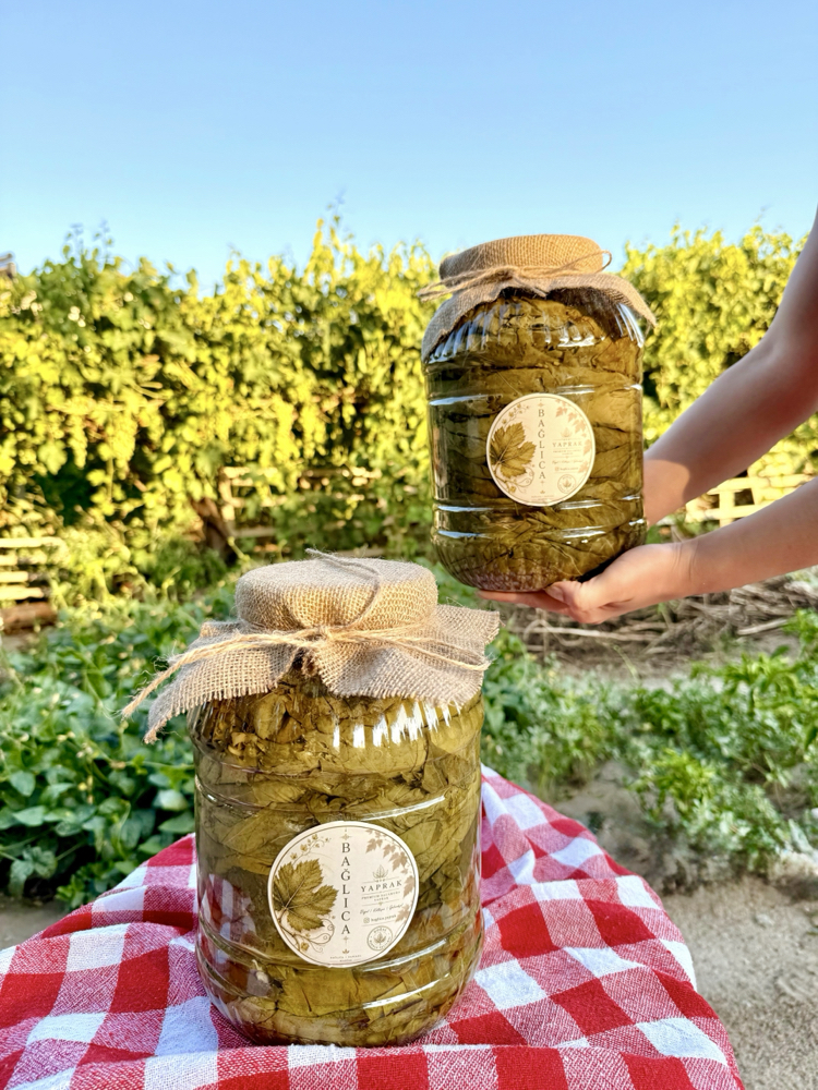 3 x 5 L Bağlıca Yaprak Salamura Asma Yaprağı