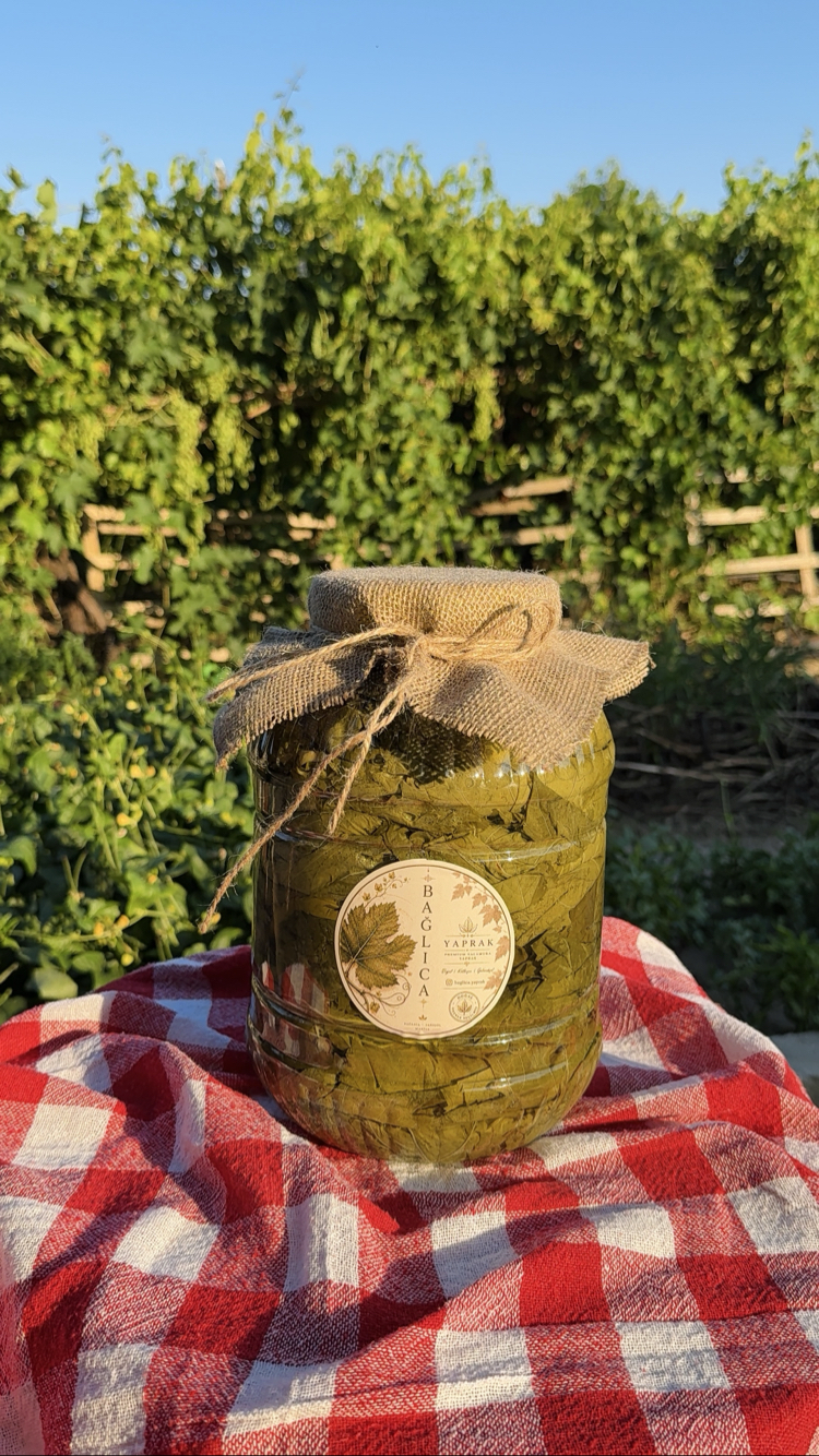 5 L Bağlıca Yaprak Salamura Asma Yaprağı