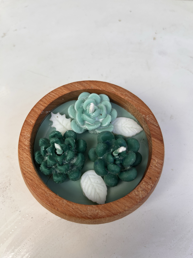 Sukulent şekilli soya wax