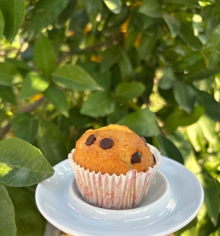 Damla Çikolatalı Muffin (18 adet) 