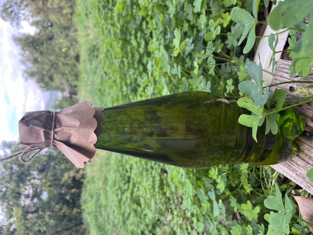 Sızma Zeytinyağı (1 lt)